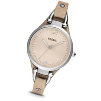   ,  Fossil